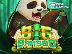 Bingo flash casino56